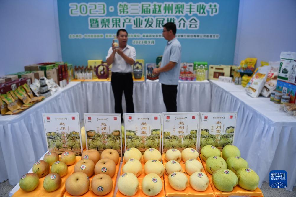捕鱼达人之海底捞下载老版本