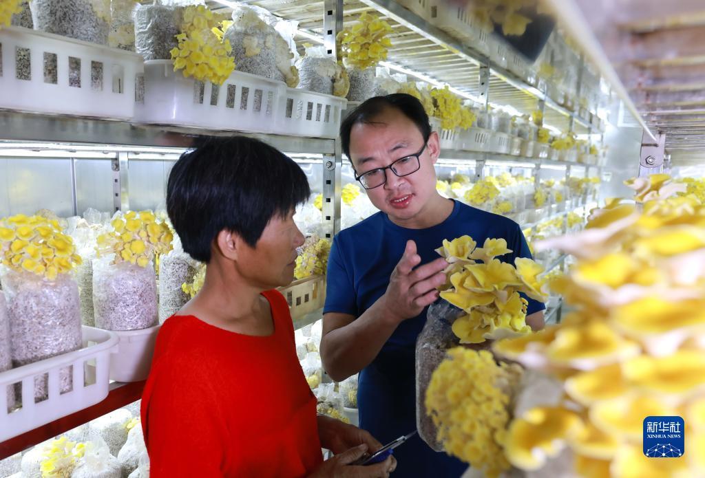 得奖网触屏版旧版