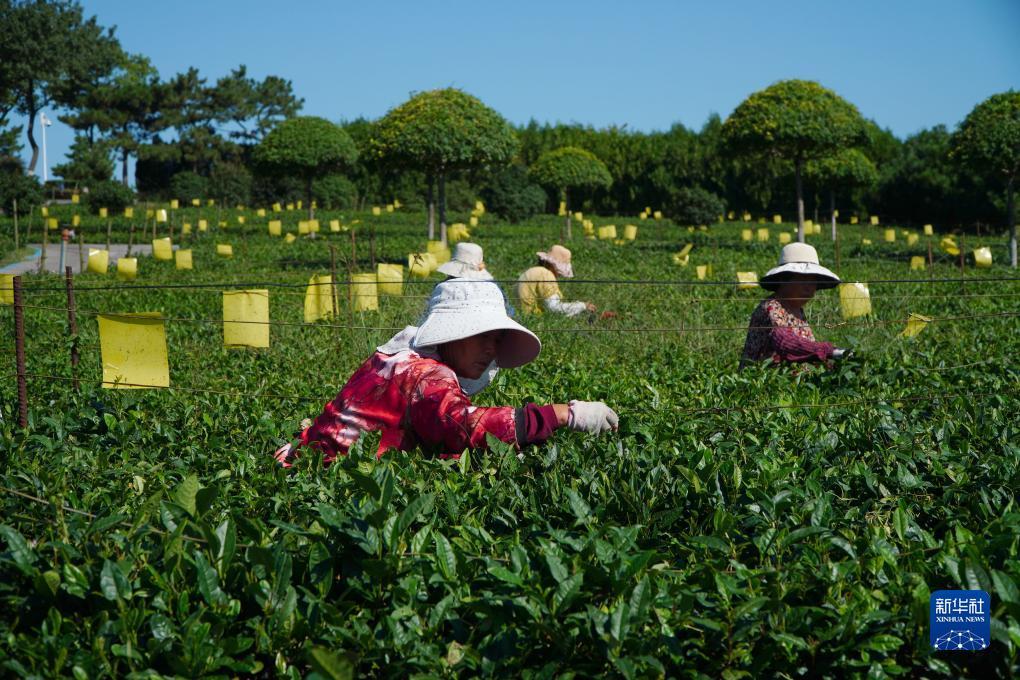菠菜技术论坛